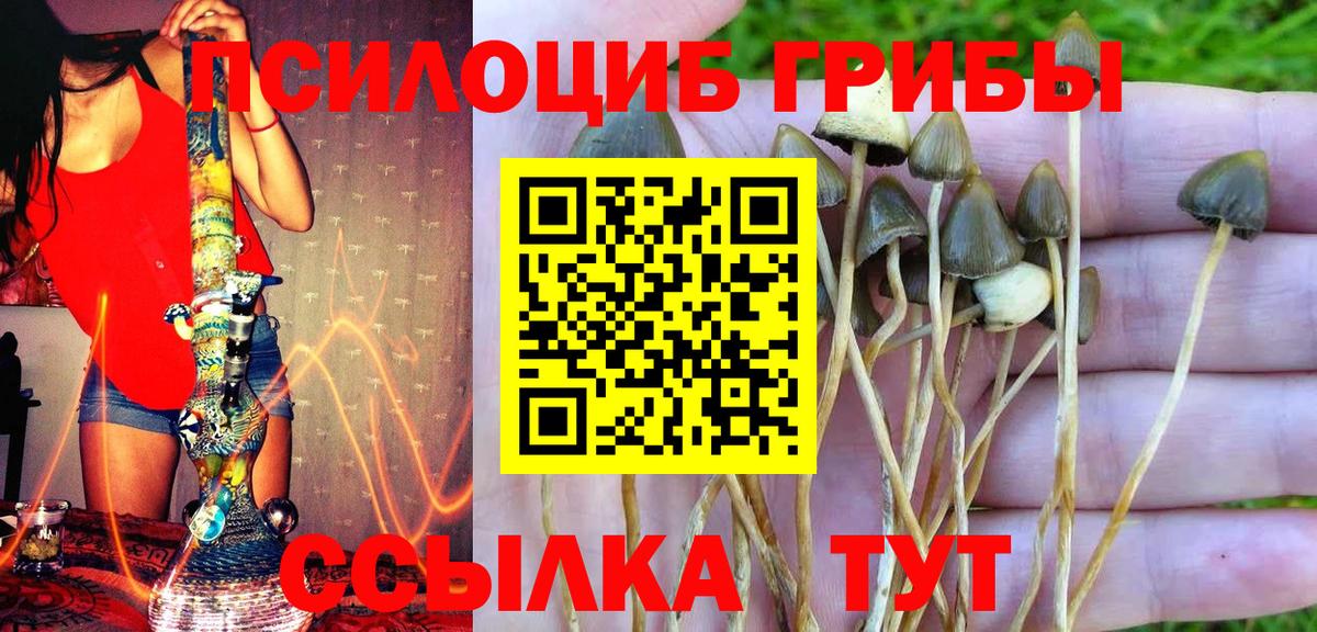 Рязань  Псилоцибиновые грибы Psilocybe  Галлюциногенные грибы GOLDEN TEACHER  Вход с VPN 