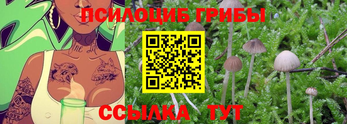 Галлюциногенные грибы Magic Shrooms Рязань